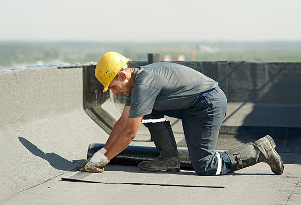 Best Cellulose Insulation in Olive Hill, KY
